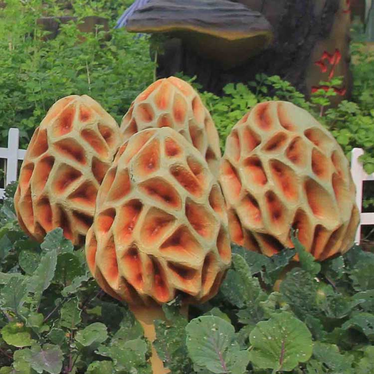 ���������rԓ����x����ϣ�